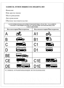Mẫu giấy phép lái xe quốc tế trang 6